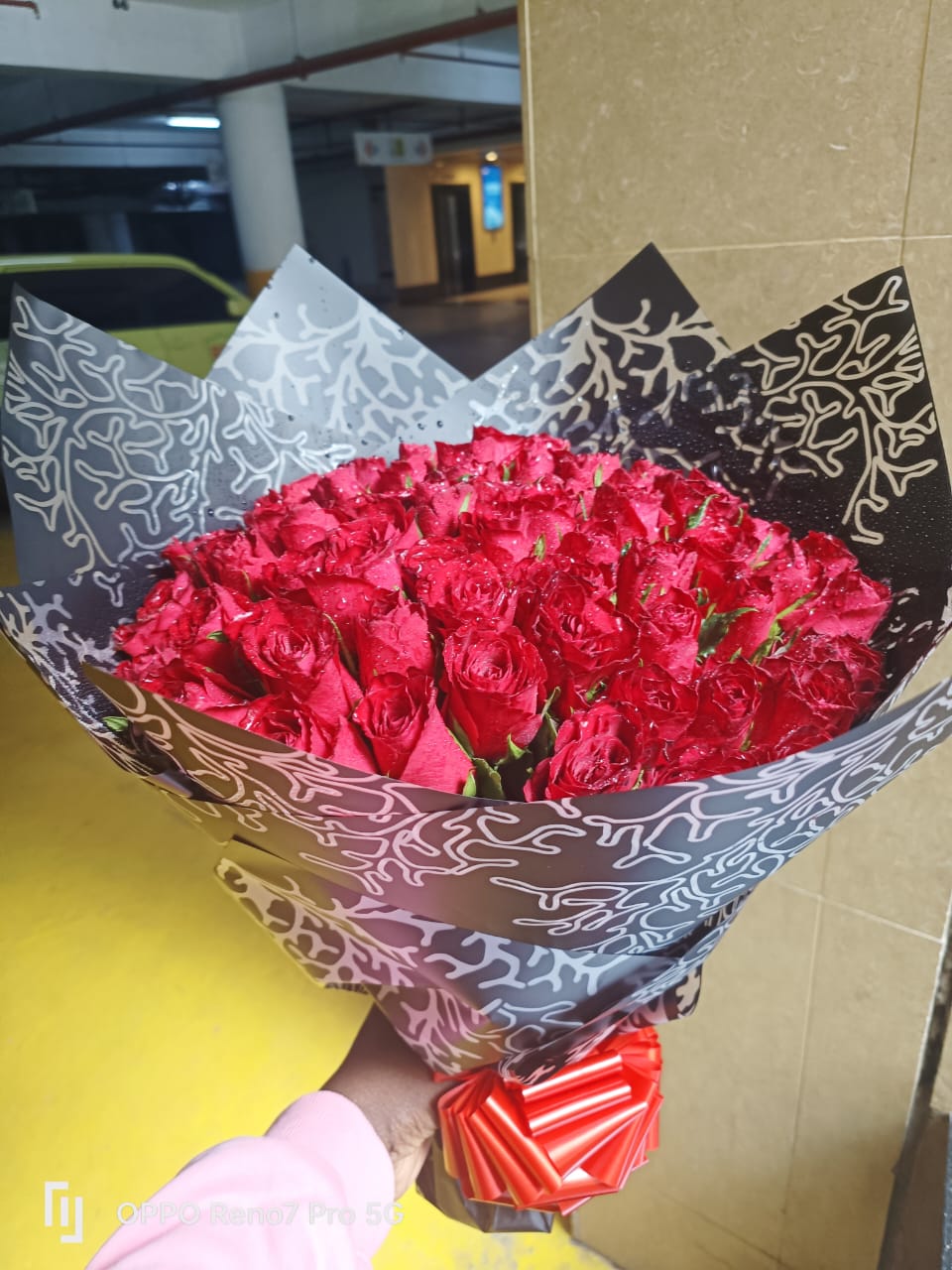 Beautiful red roses