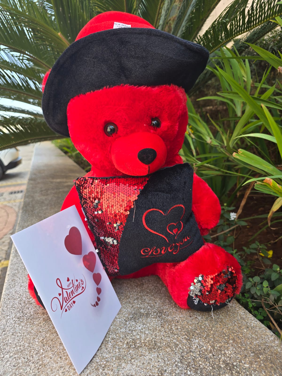 Large red Ted bear