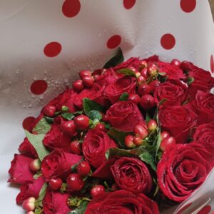 Mixed red rose